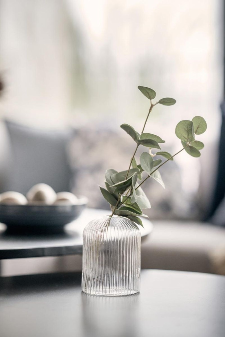 Planter Og Blomster Kremmerhuset | Plante Eucalyptusgren 69 Cm