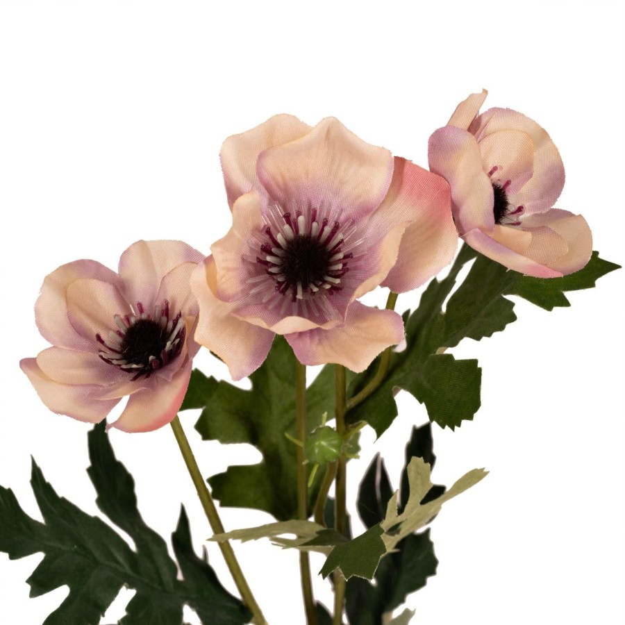 Planter Og Blomster Kremmerhuset | Blomst Anemone Dus Lilla 60 Cm