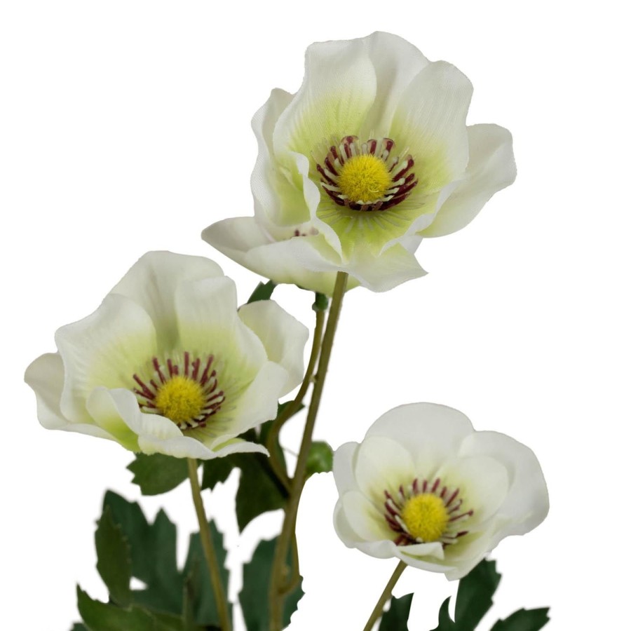 Planter Og Blomster Kremmerhuset | Blomst Anemone Krem 60 Cm