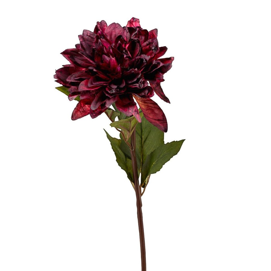 Planter Og Blomster Kremmerhuset | Stilkblomst Dahlia Lilla