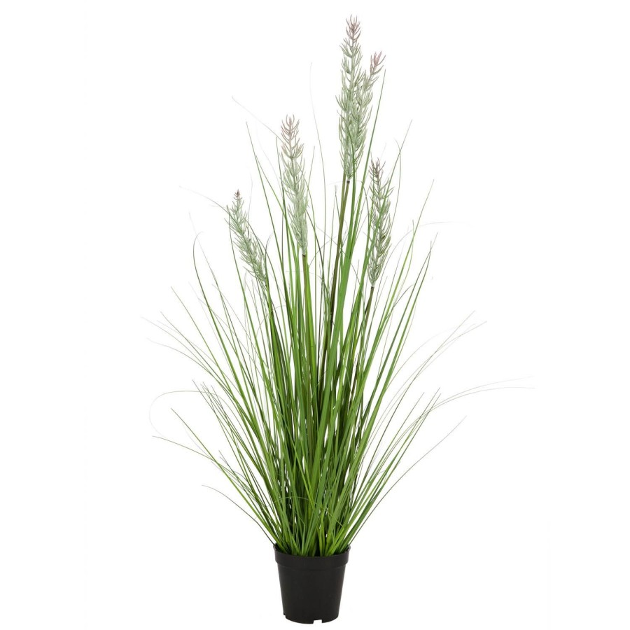 Planter Og Blomster Kremmerhuset | Gressplante Stra 90 Cm