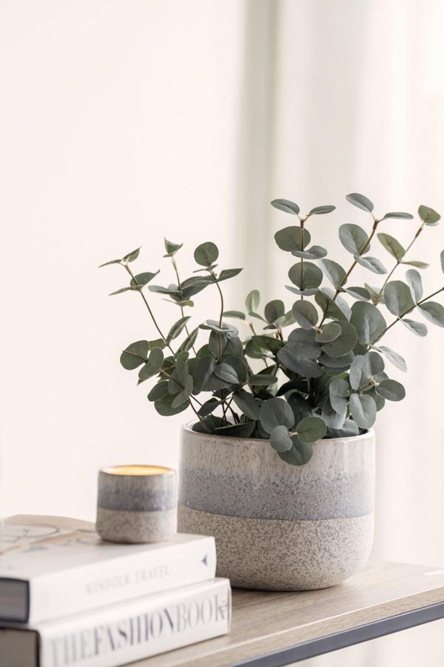 Planter Og Blomster Kremmerhuset | Plante Eucalyptus I Potte