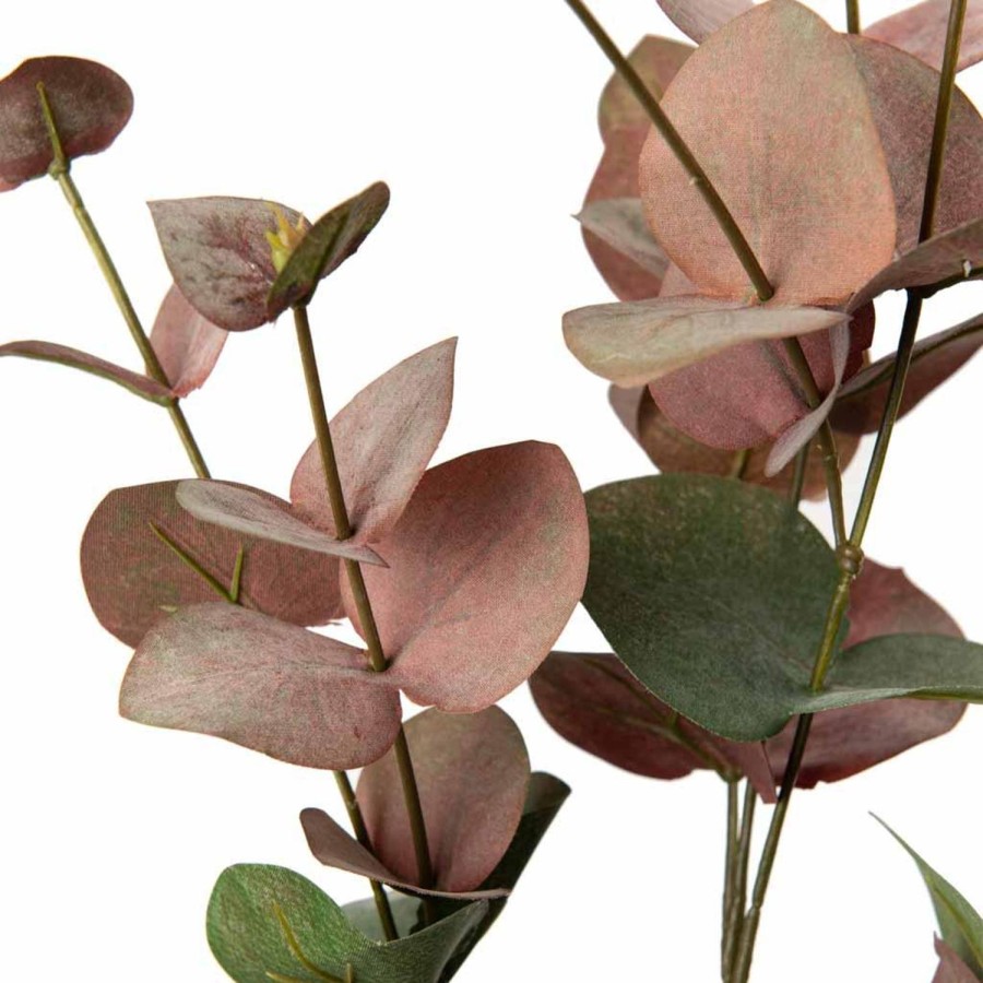 Planter Og Blomster Kremmerhuset | Gren Eucalyptus