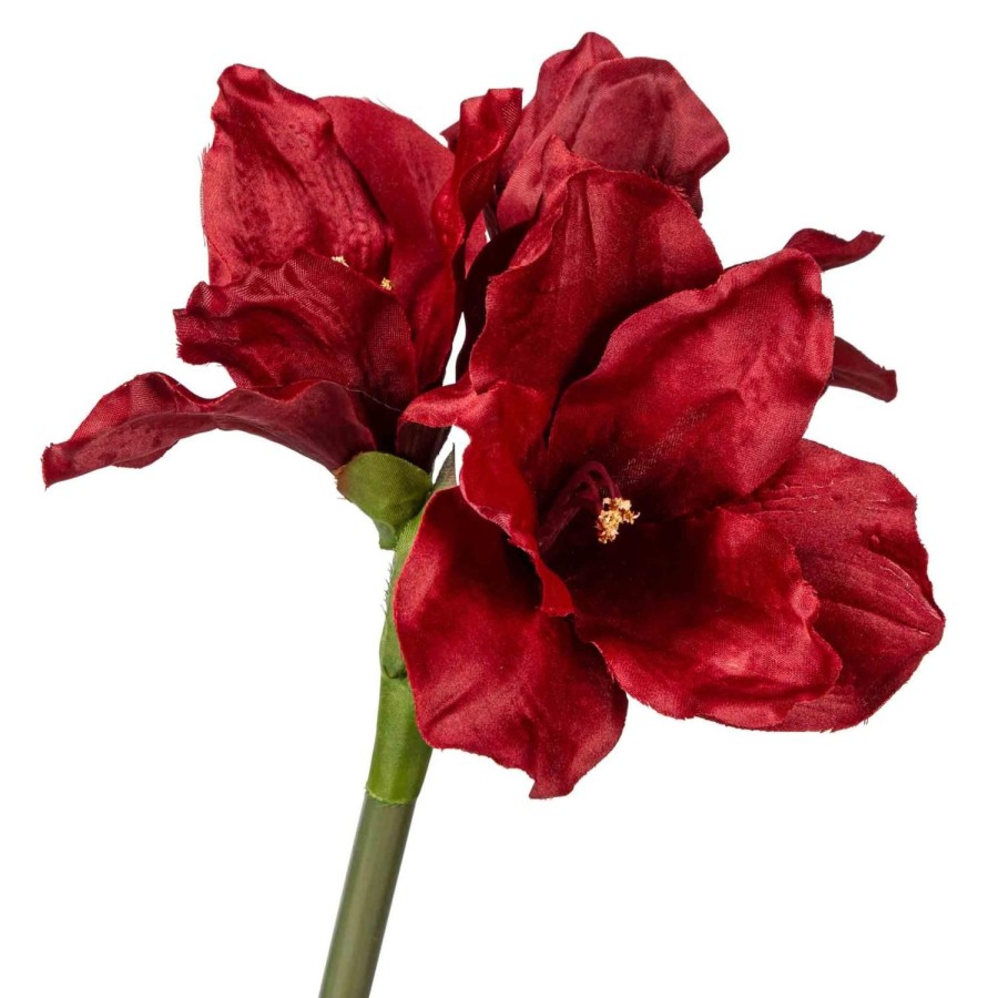 Planter Og Blomster Kremmerhuset | Stilkblomst Amaryllis