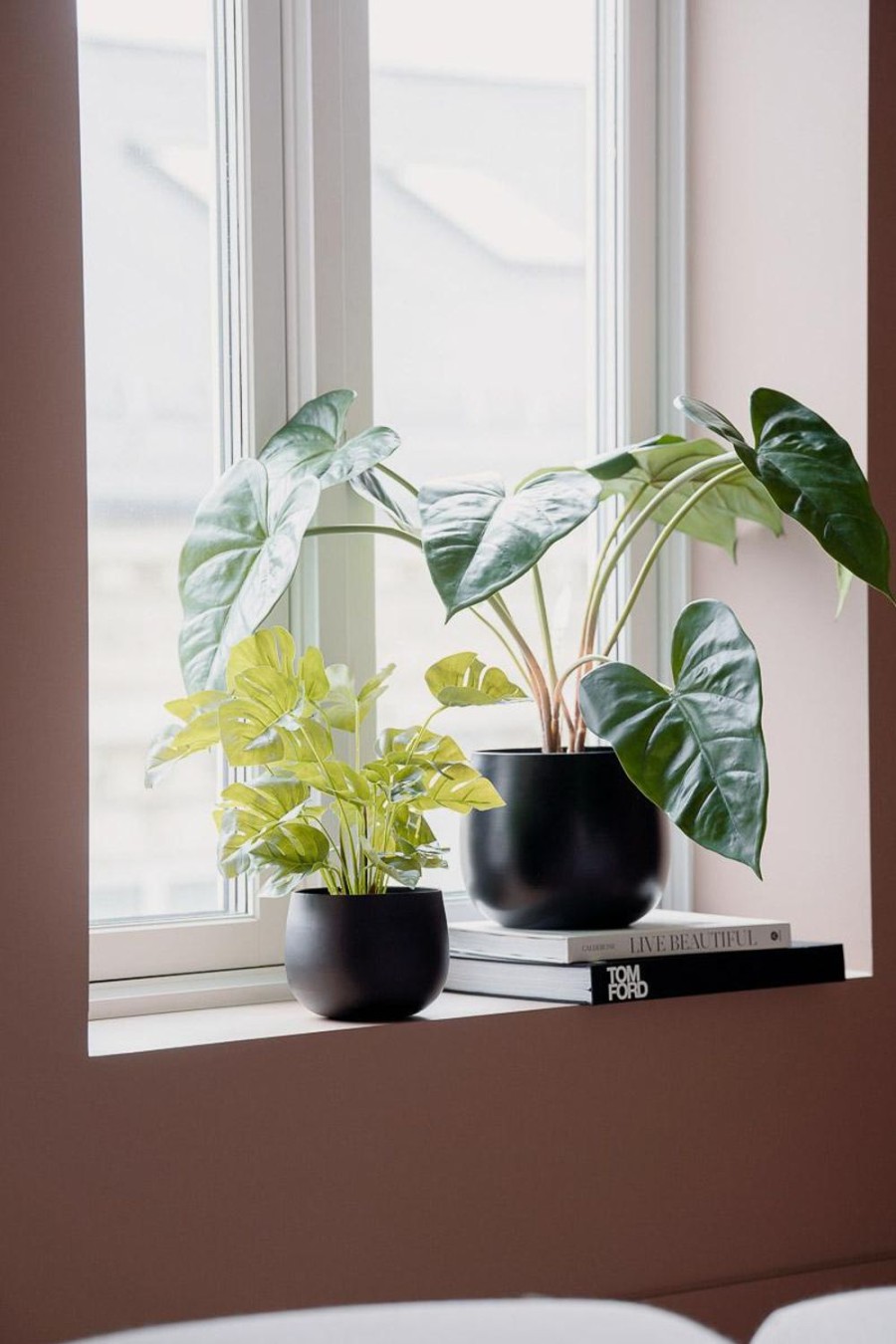 Planter Og Blomster Kremmerhuset | Plante Monstera