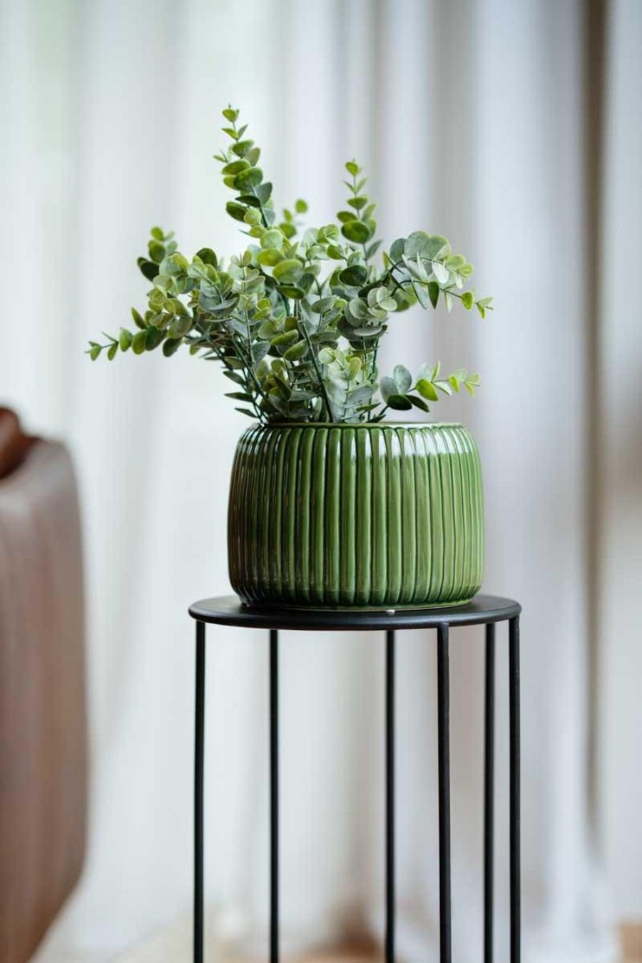 Planter Og Blomster Kremmerhuset | Eucalyptus I Potte