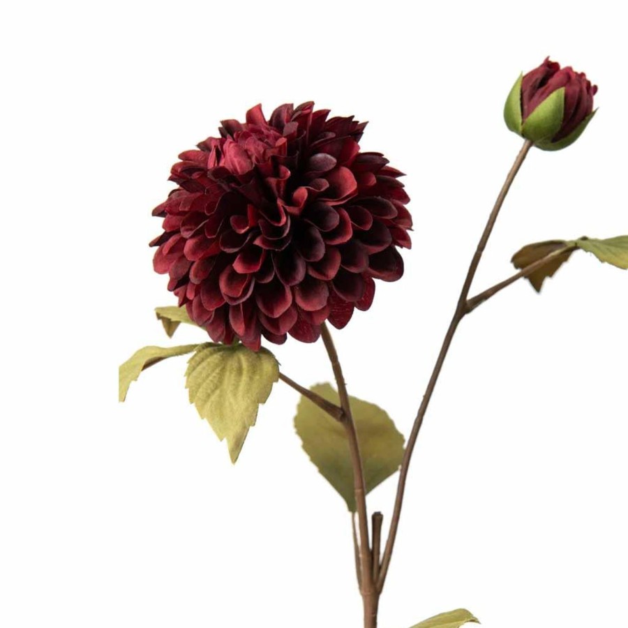 Planter Og Blomster Kremmerhuset | Stilkblomst Dahlia