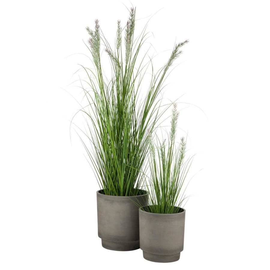 Planter Og Blomster Kremmerhuset | Gressplante Stra 170 Cm