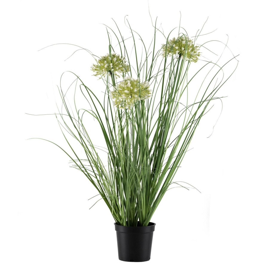 Planter Og Blomster Kremmerhuset | Blomst I Potte 50 Cm